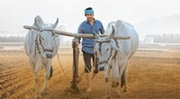 Maharshi Movie 4th Padara Padara Song Poster